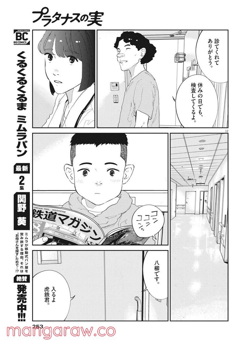 P12