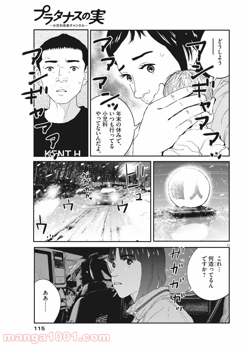 P13