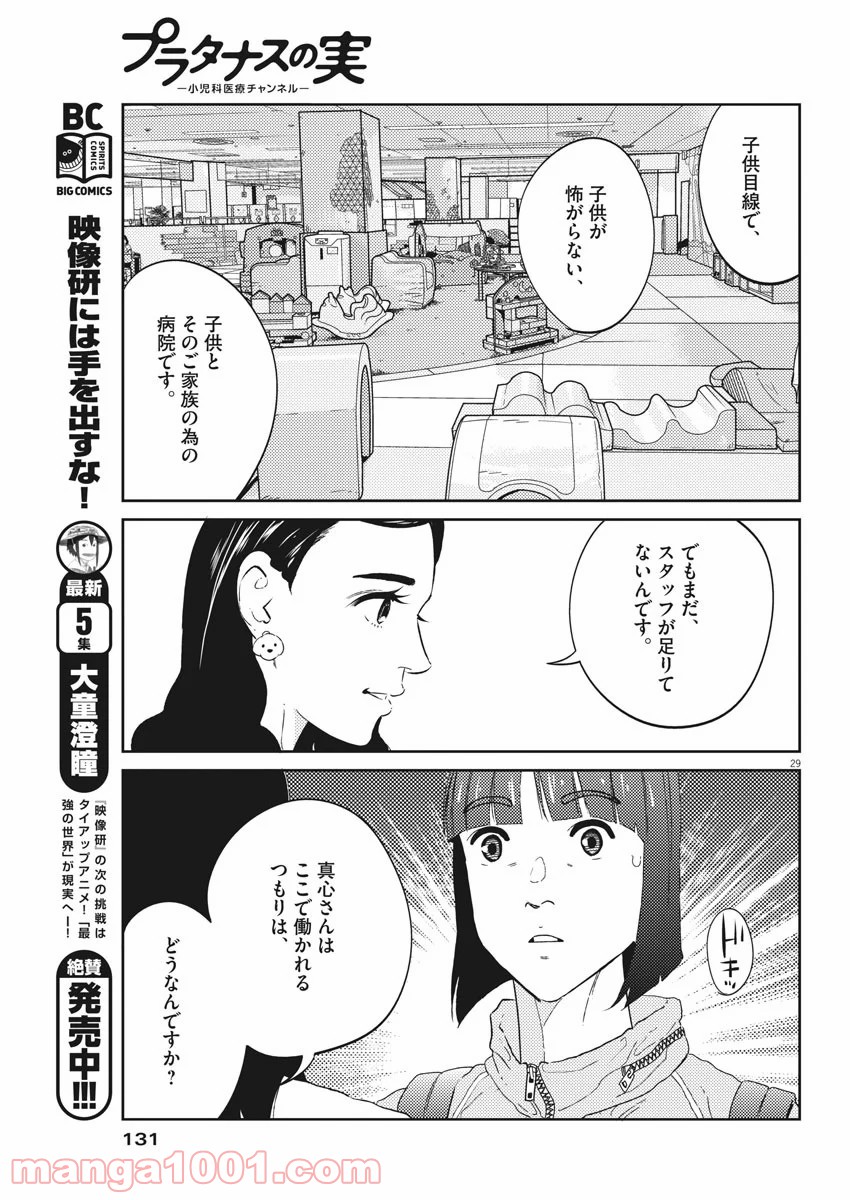 P29