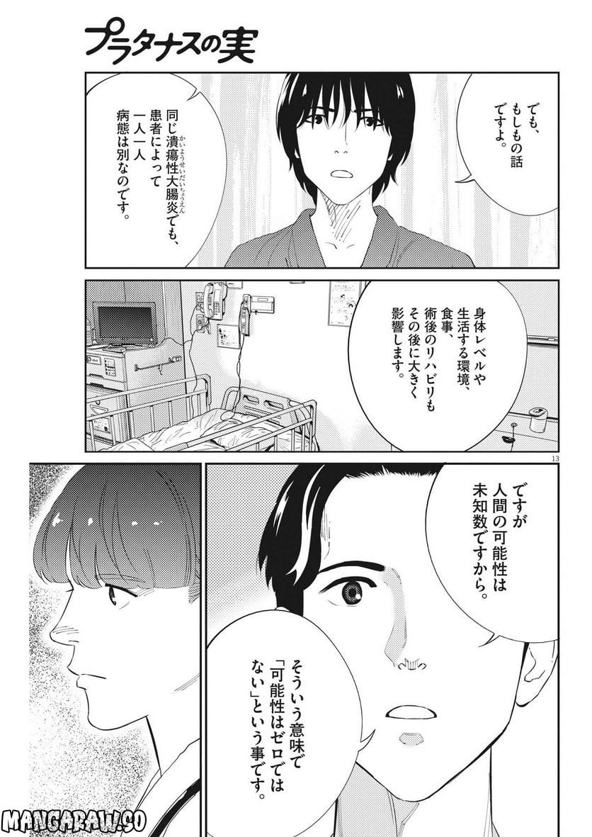 P13