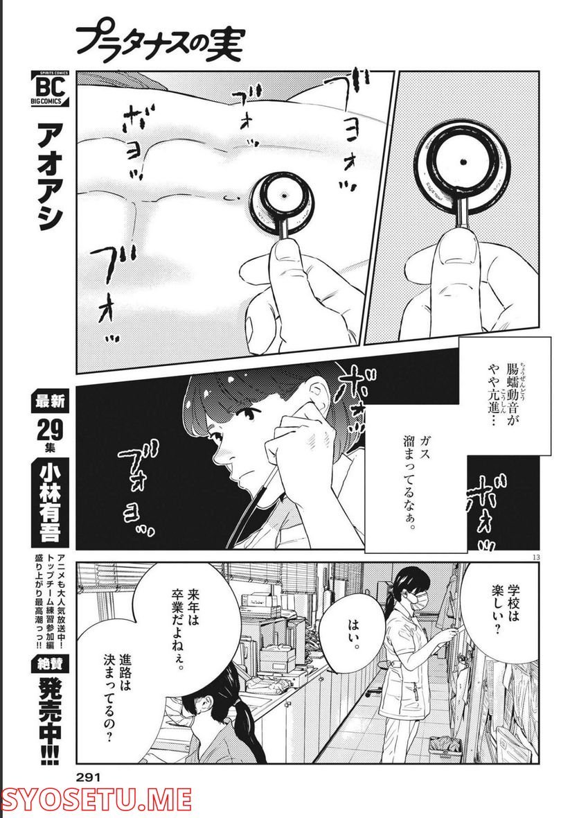 P13