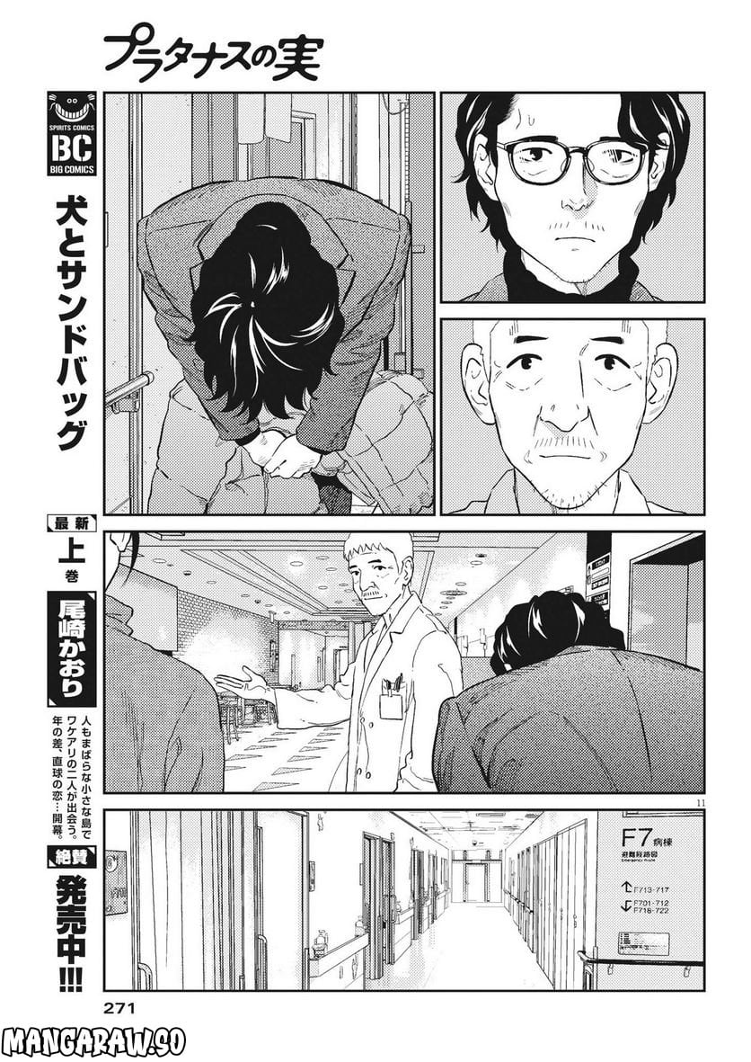 P11