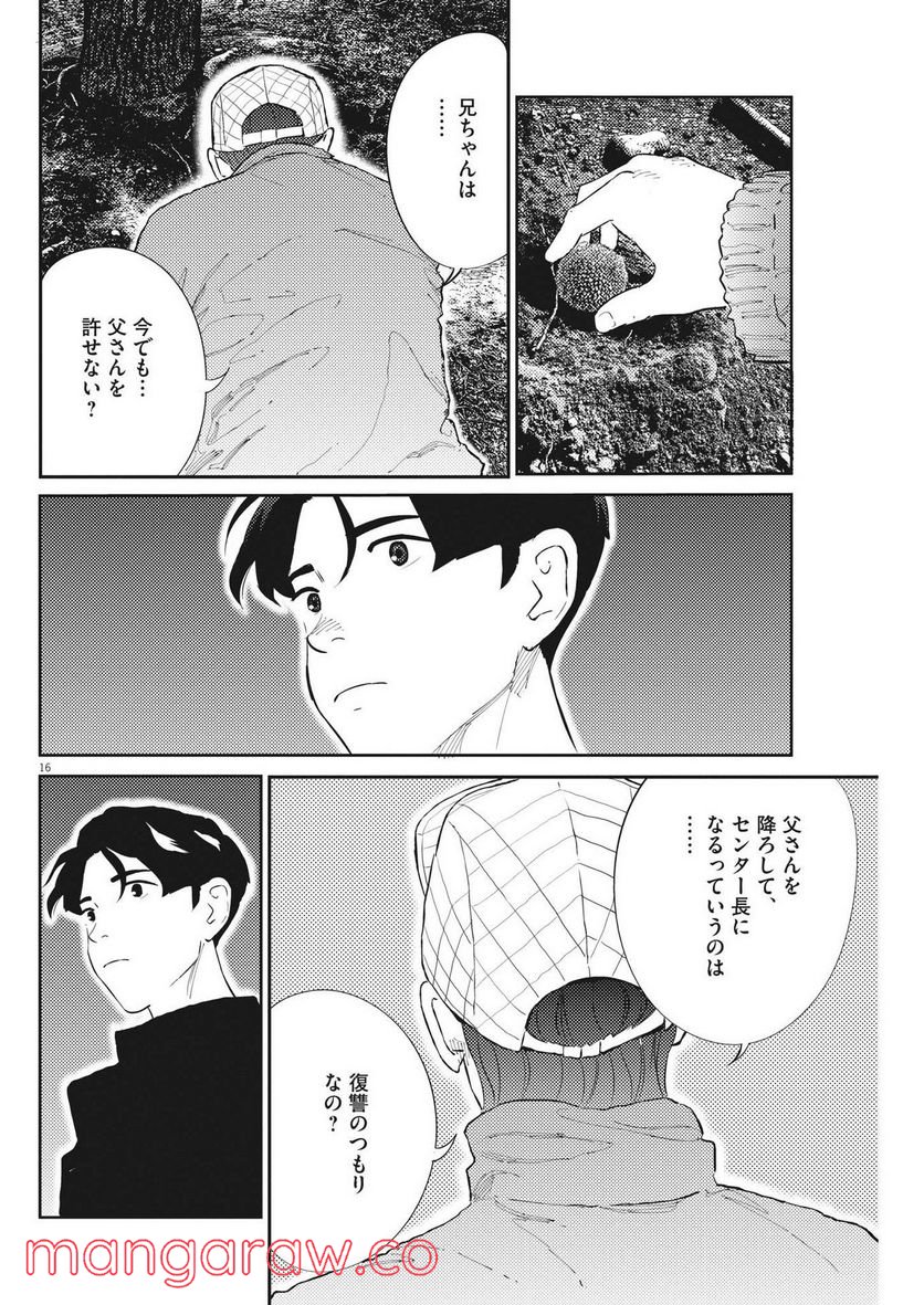 P16