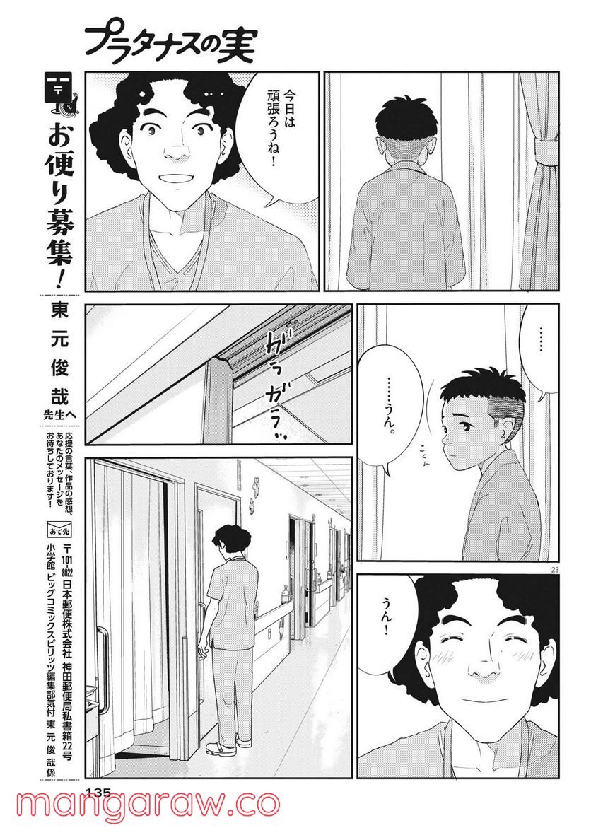 P23