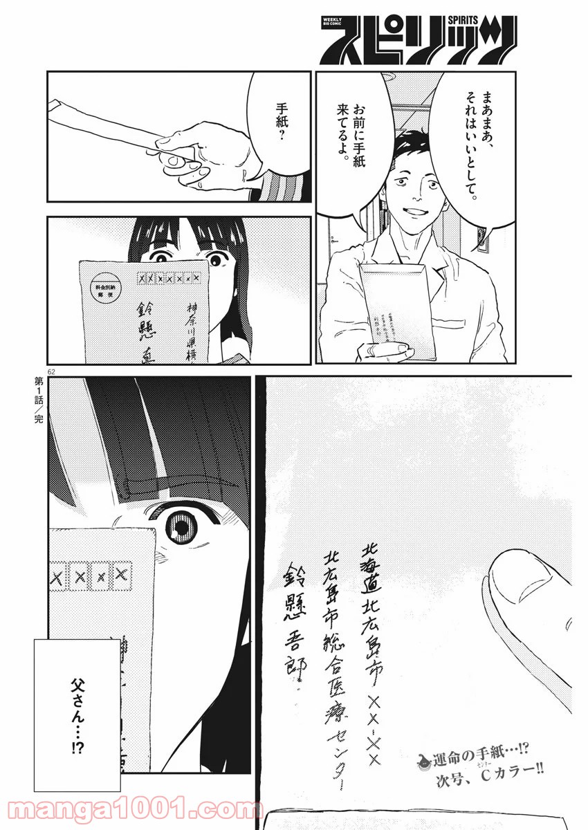 P63