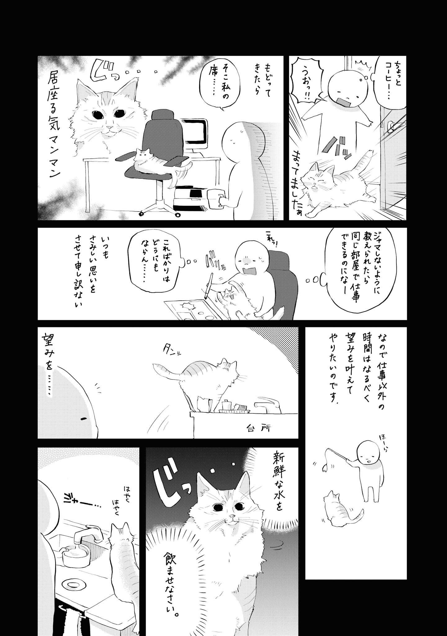 P41