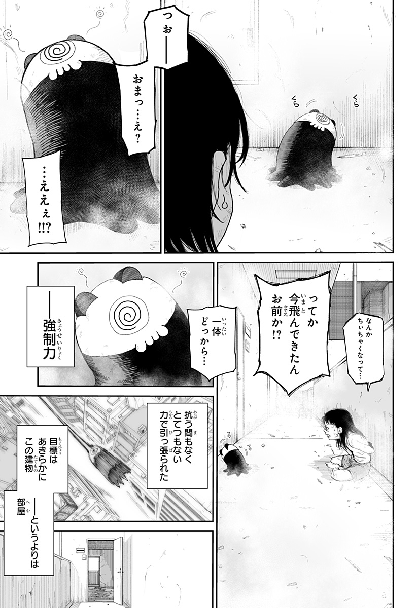 P29