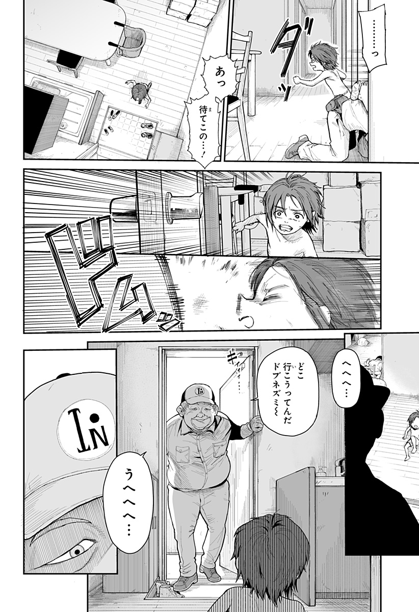P6