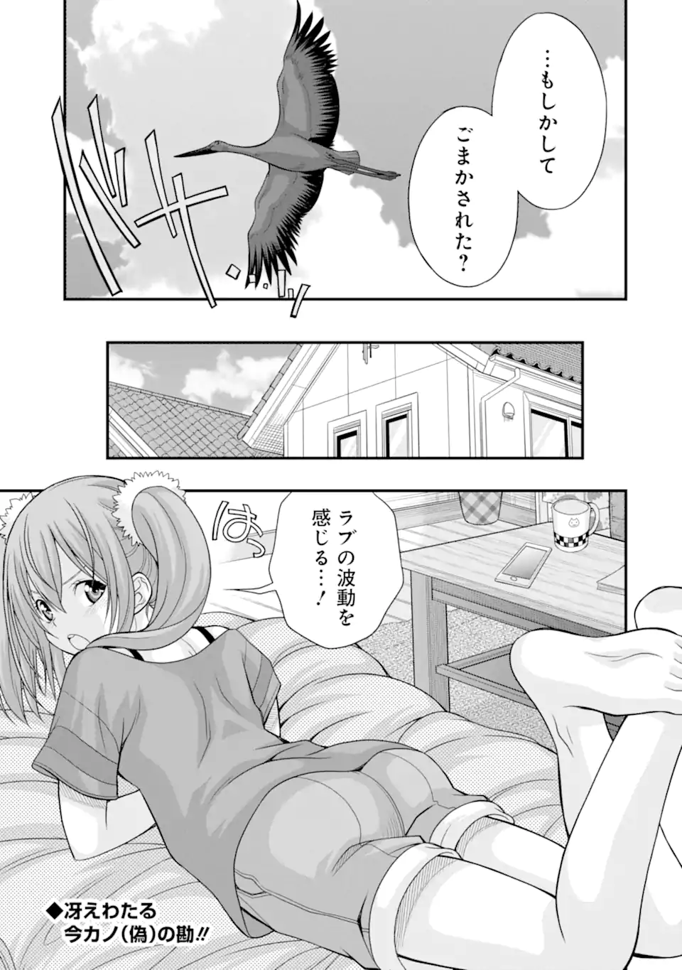 P23