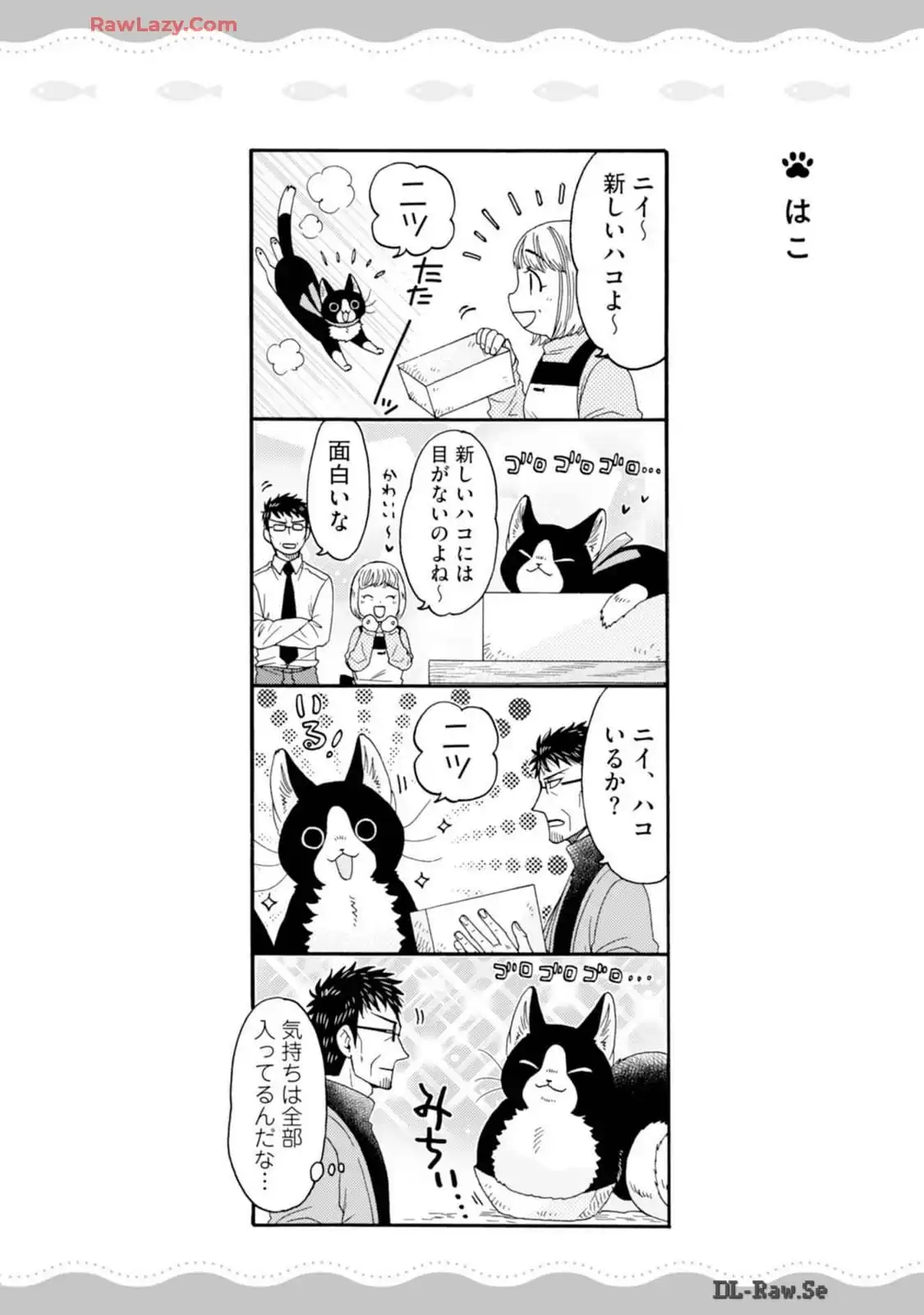 P48