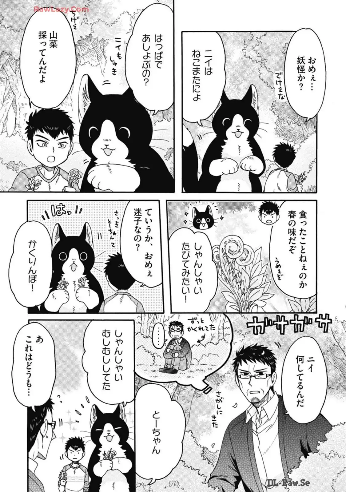 P31