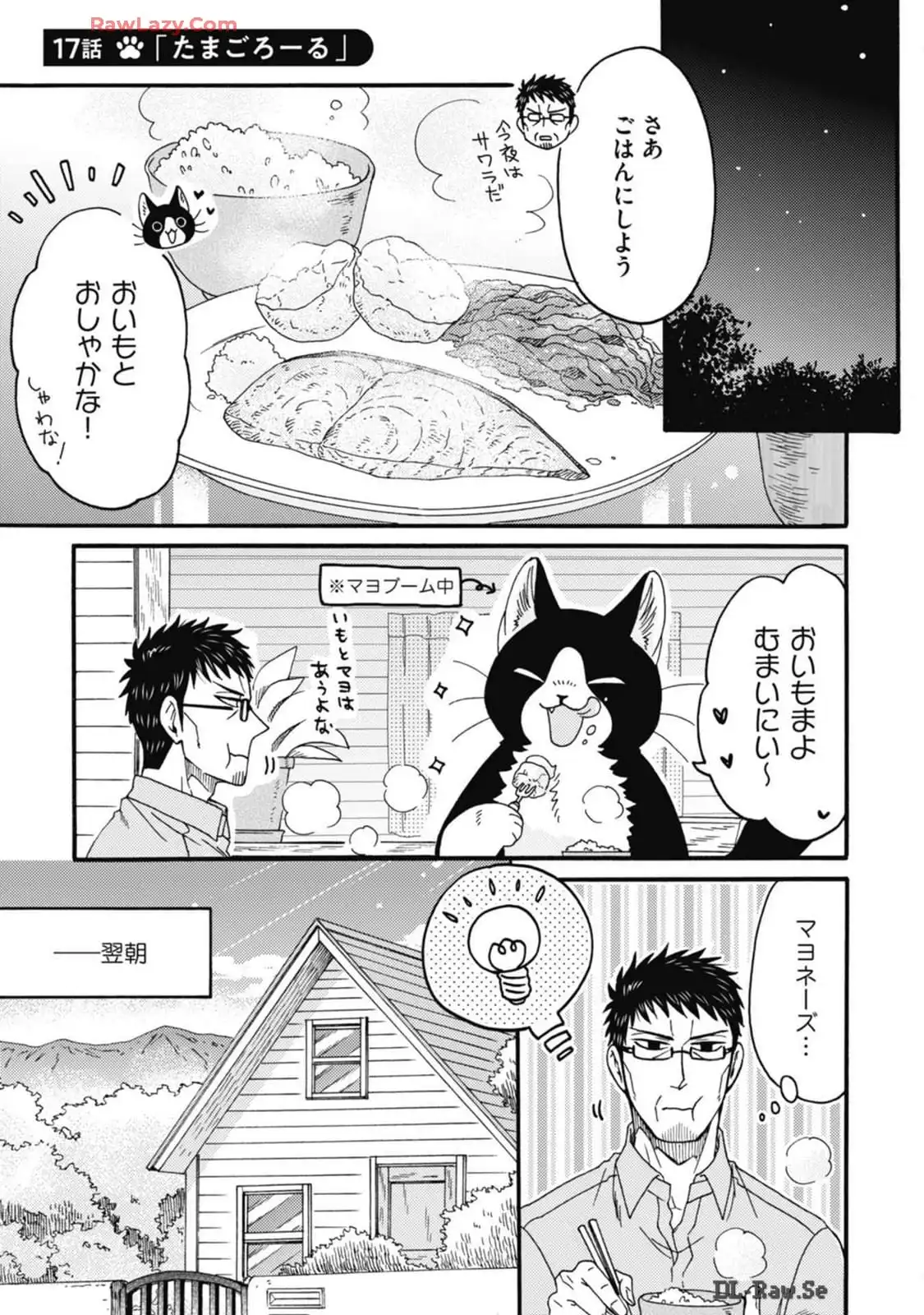 P41
