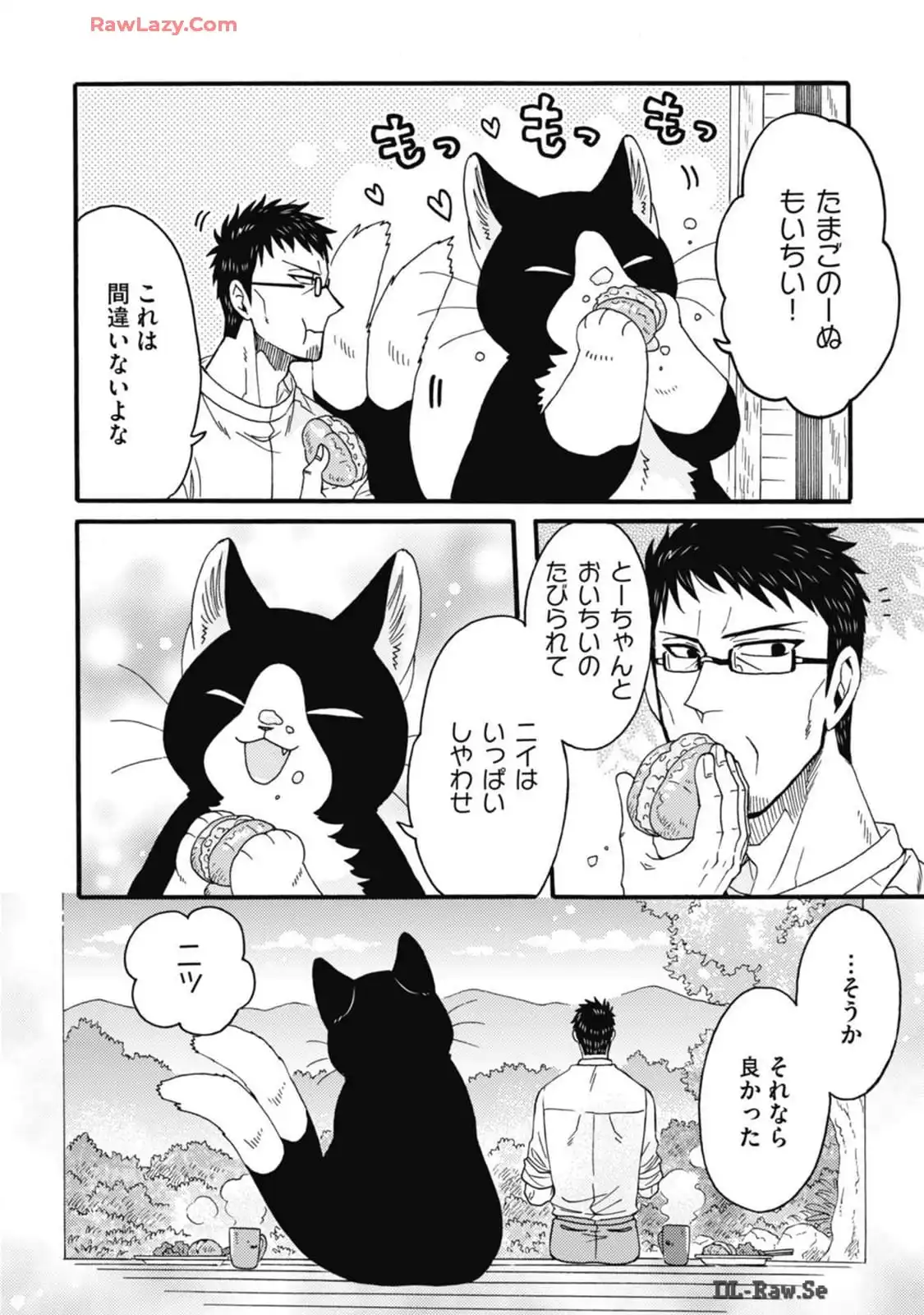P44