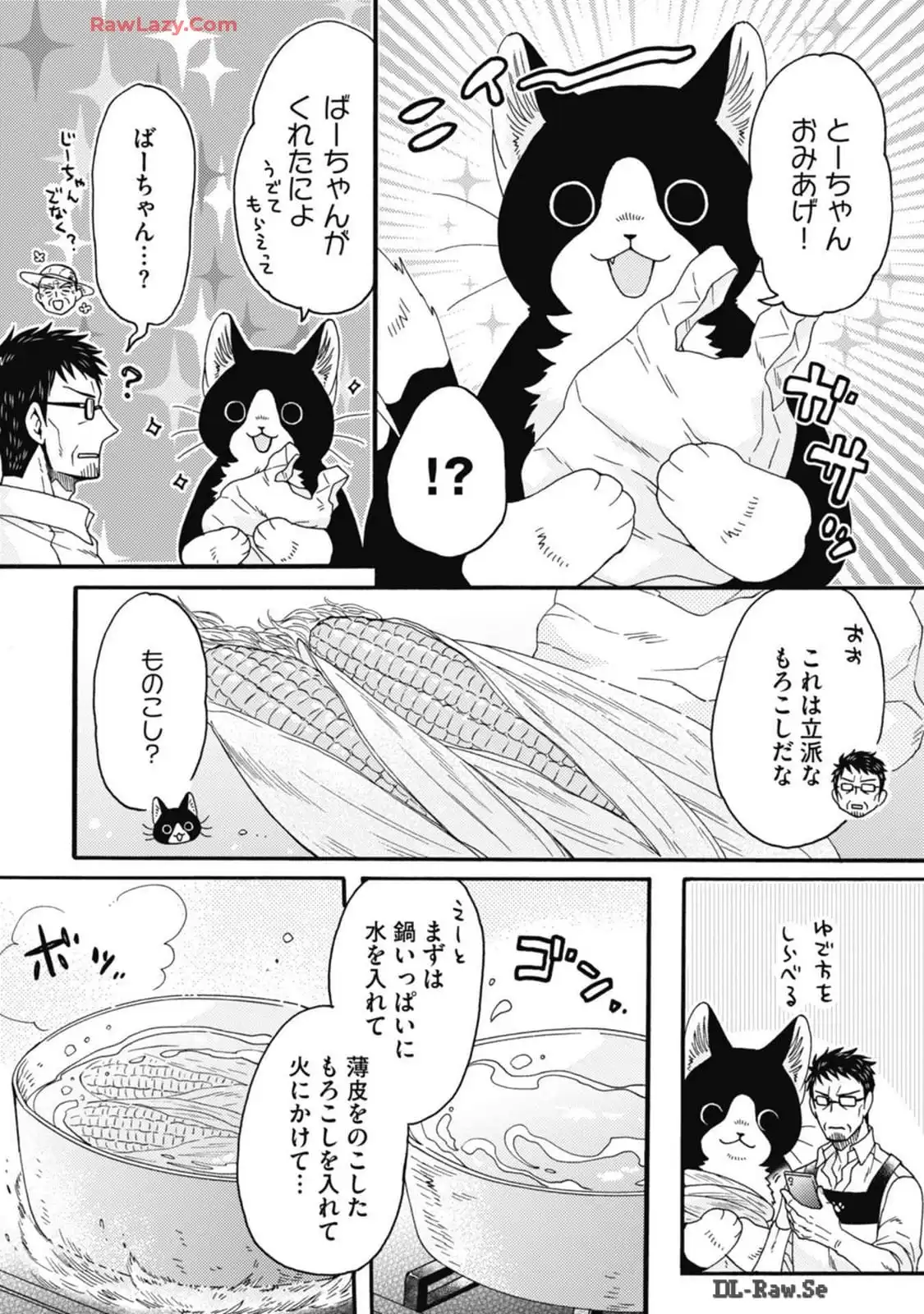 P33