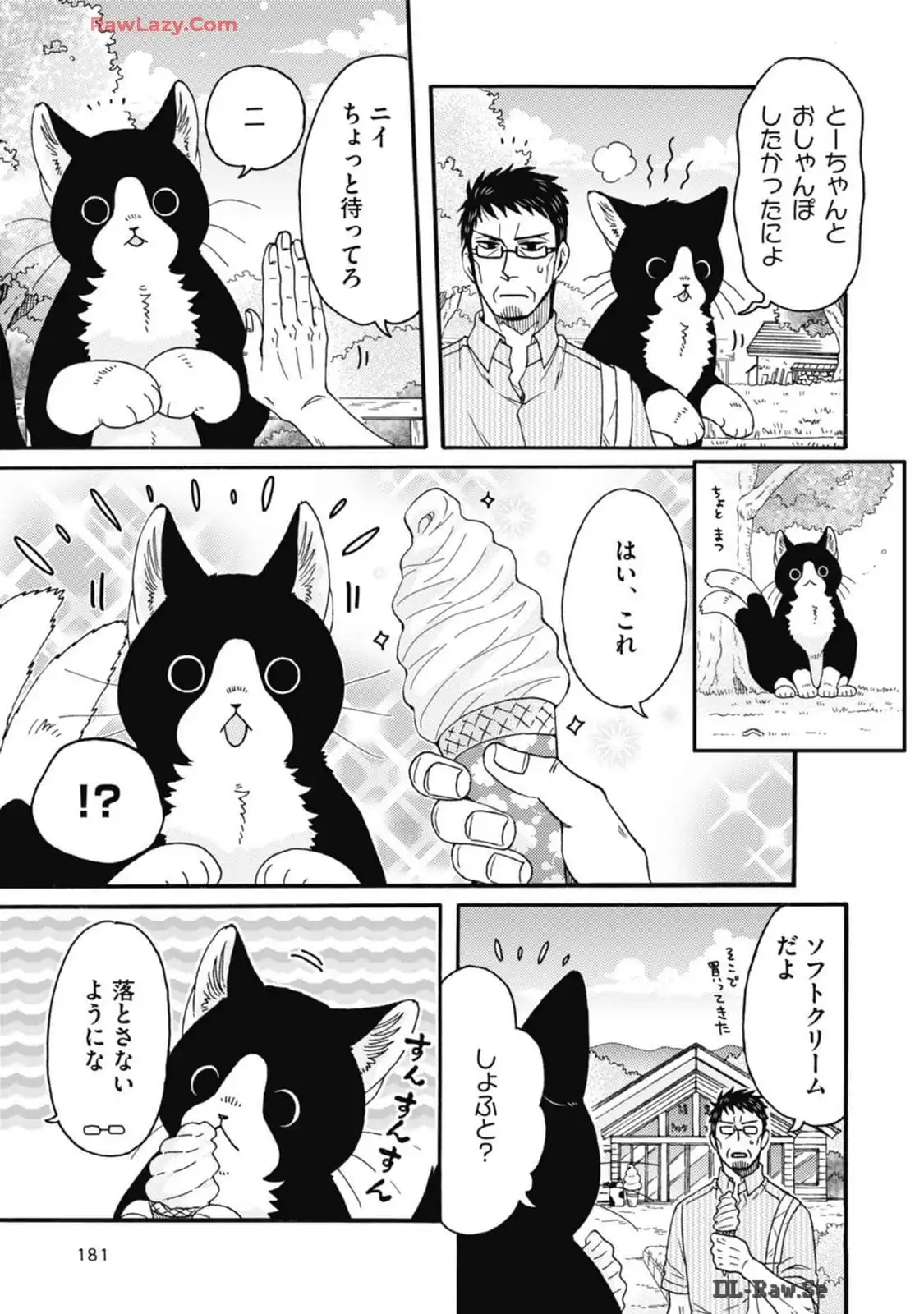 P41