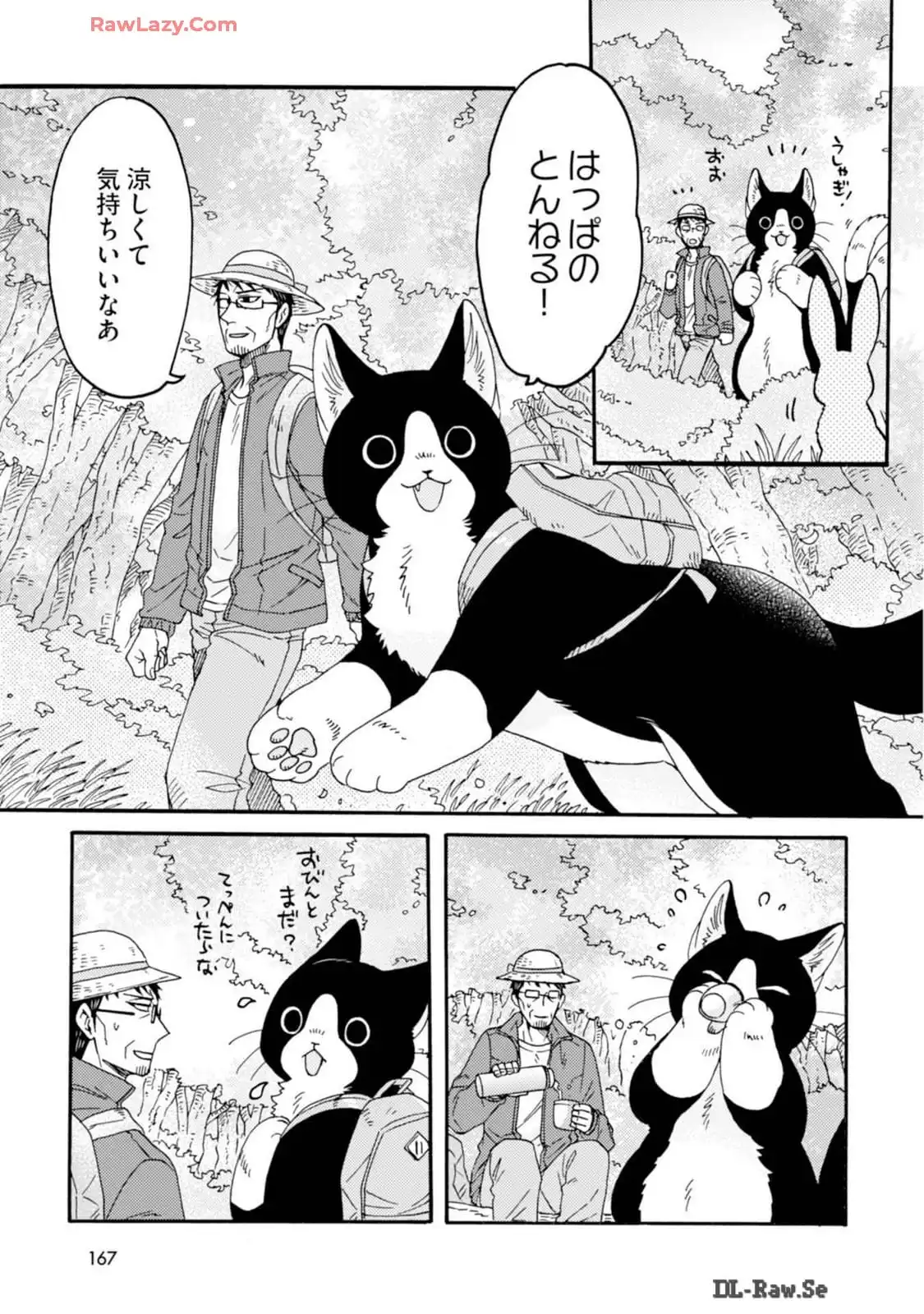 P33