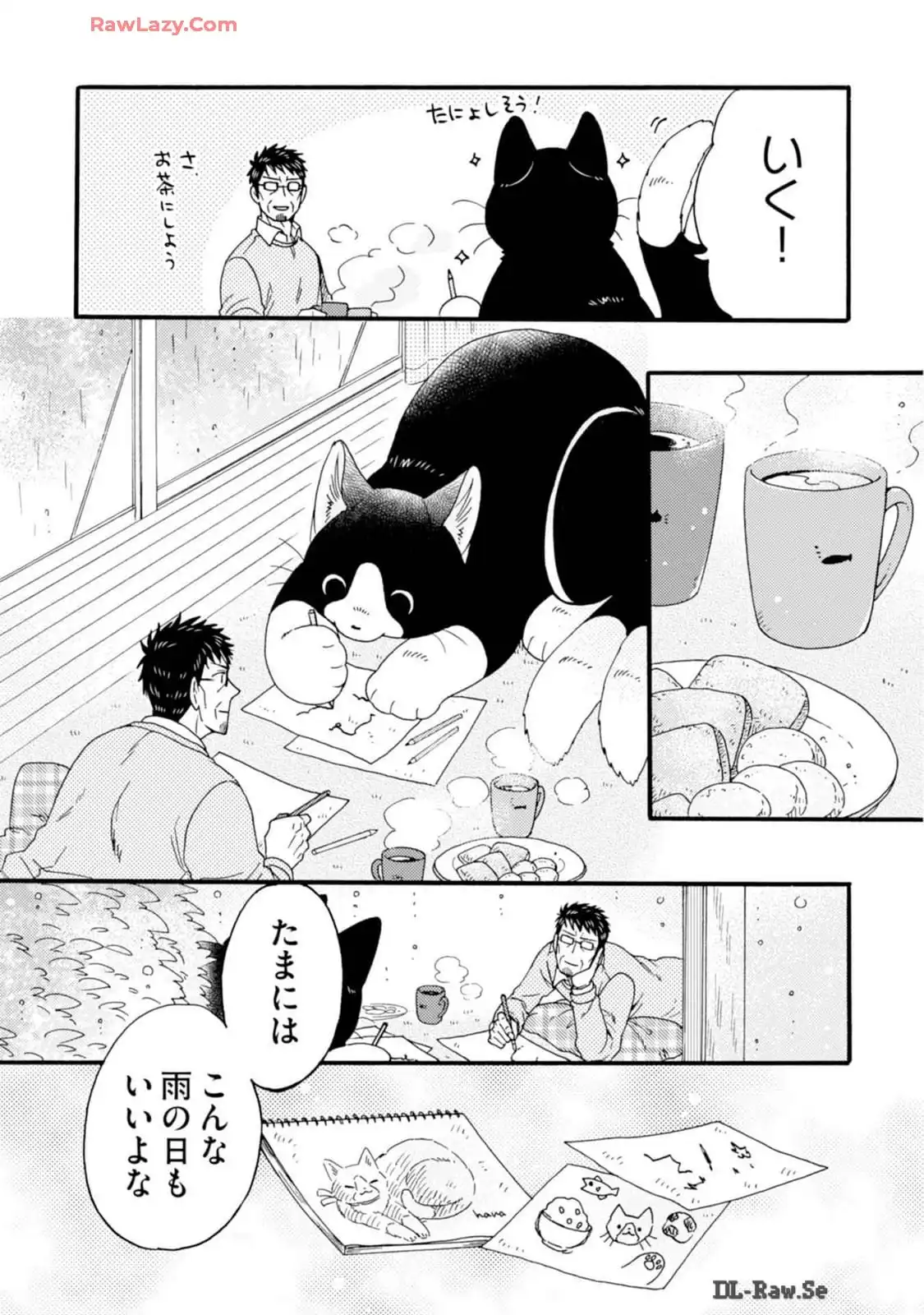P41