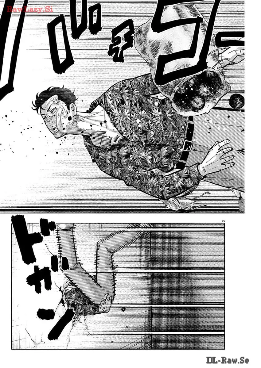 P25