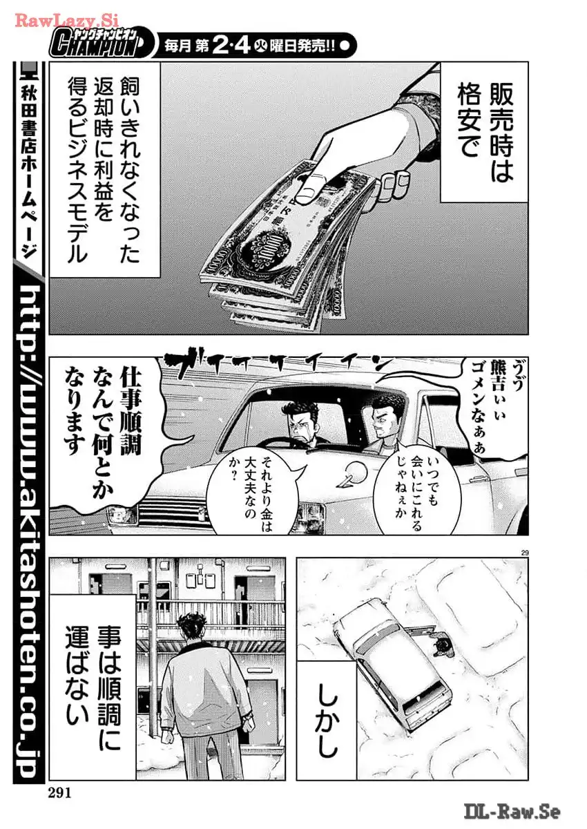 P29