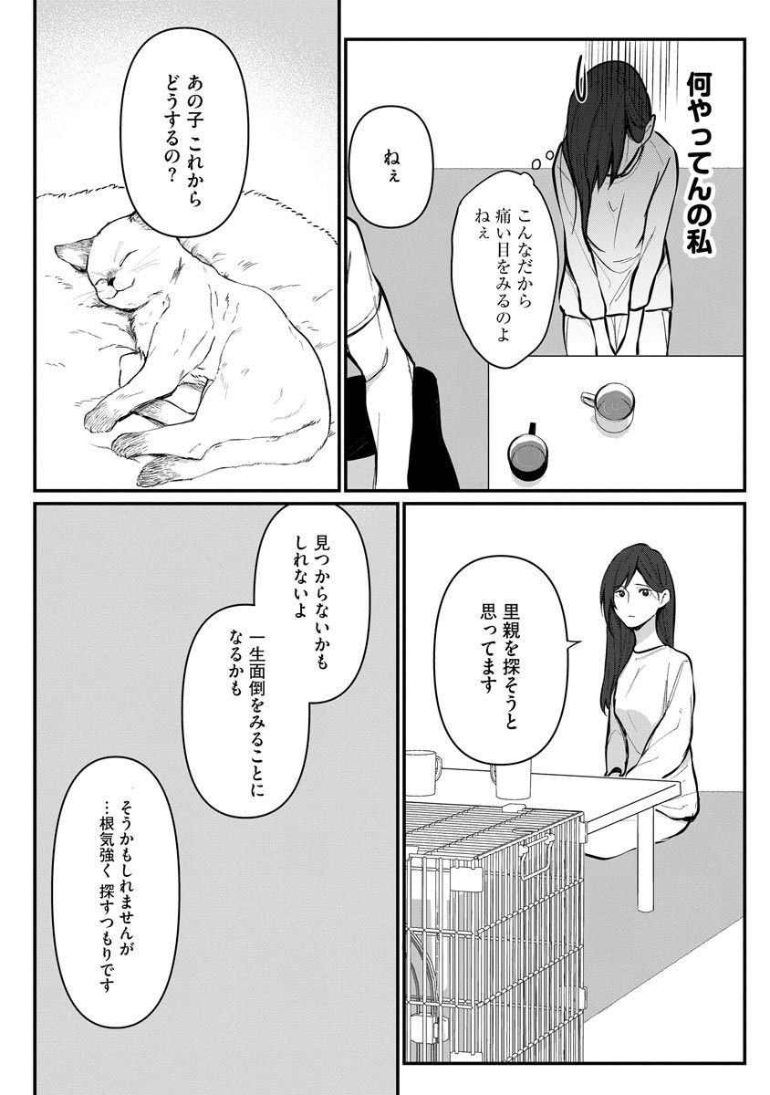 P23