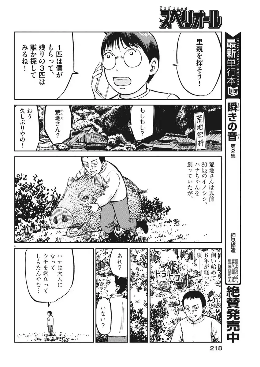 P6