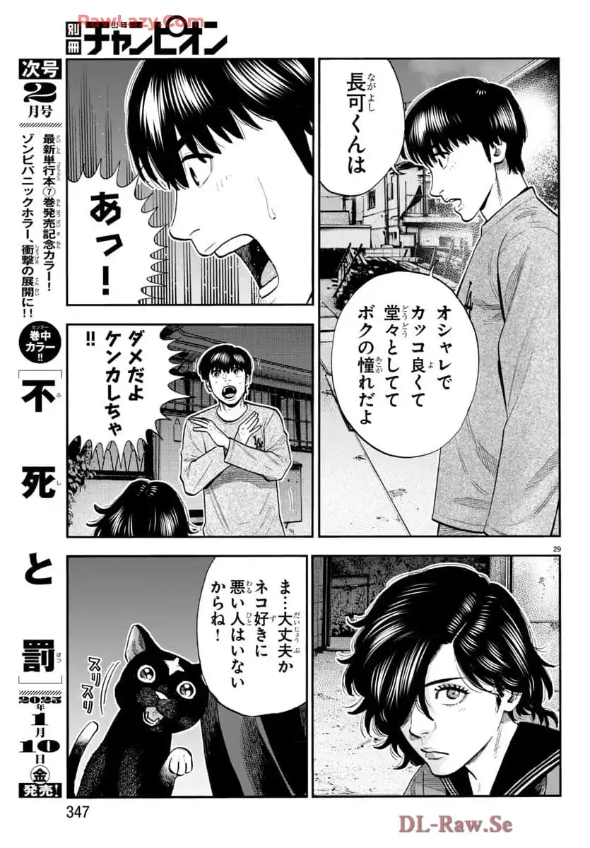 P31