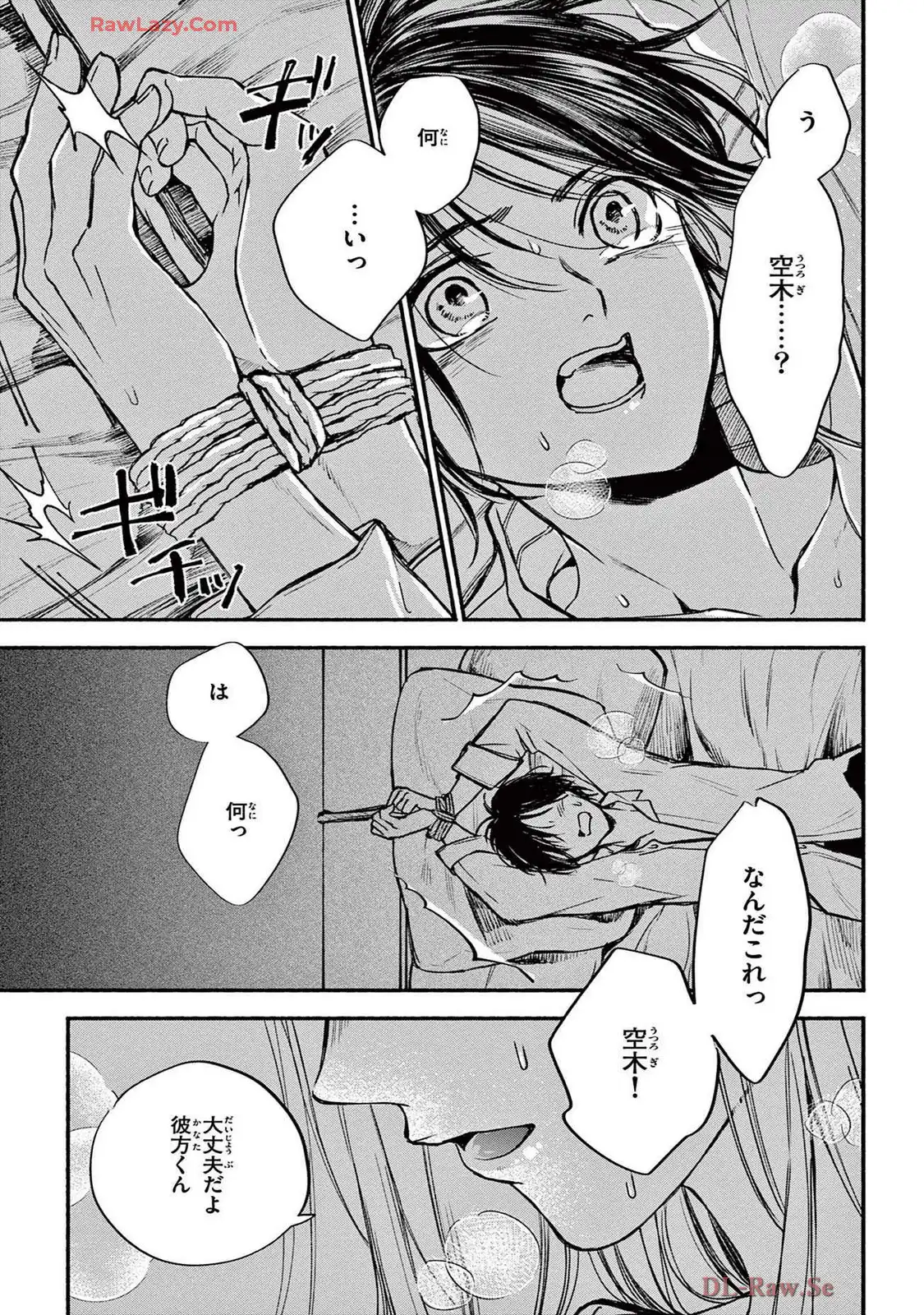 P41