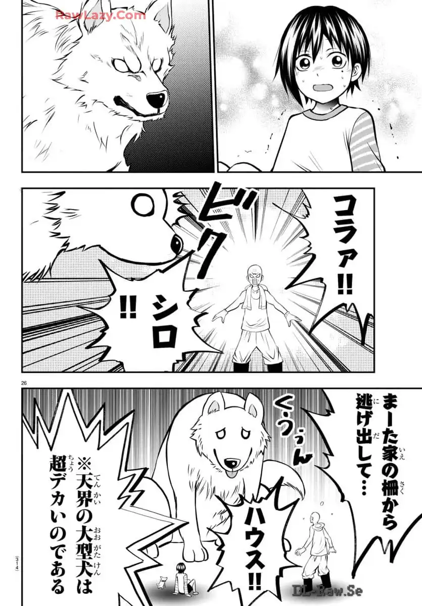 P26