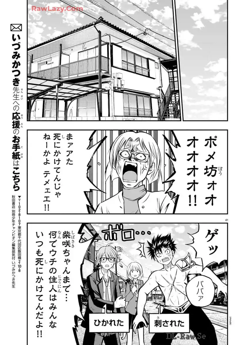 P41