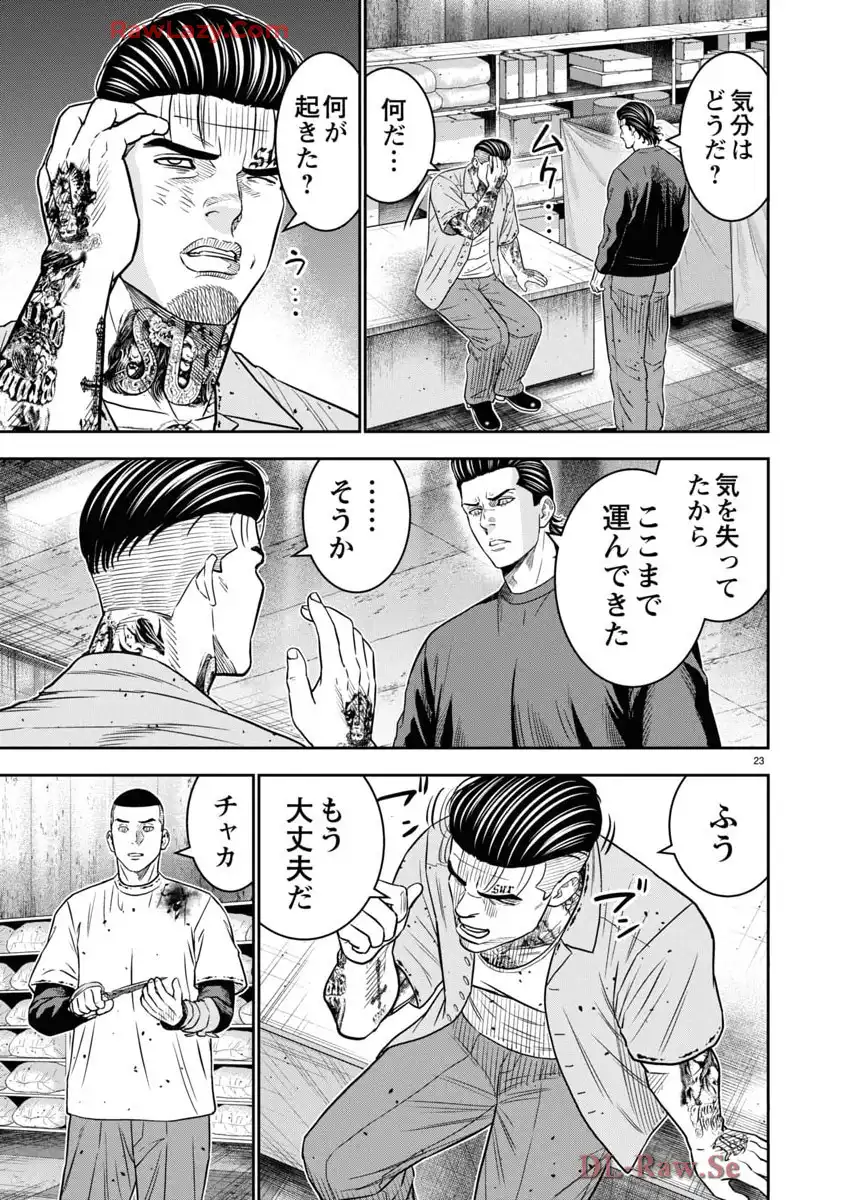 P23
