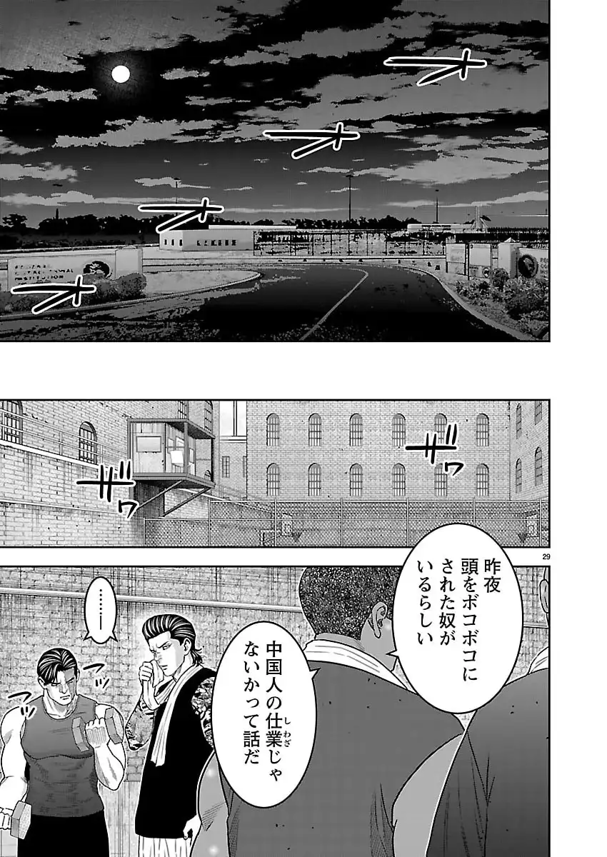 P29