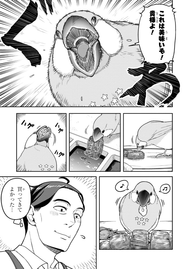 P12