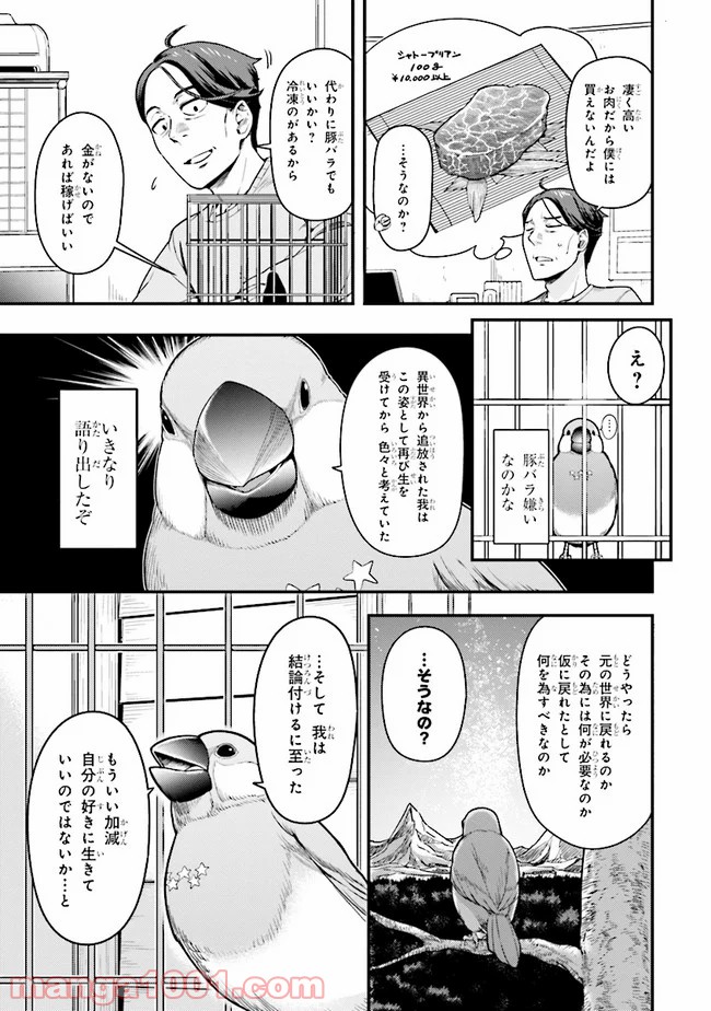 P11