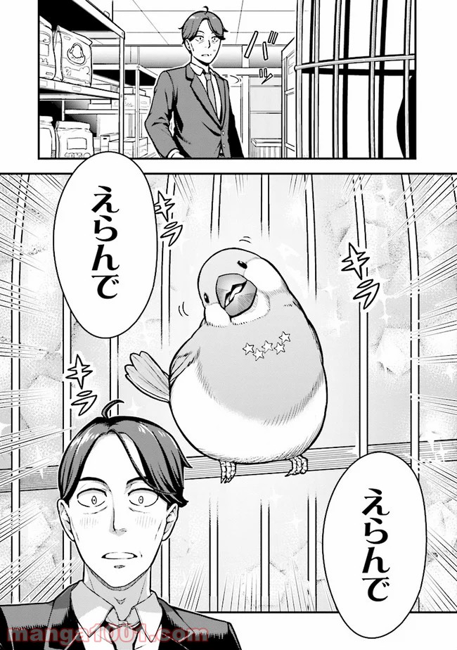 P6