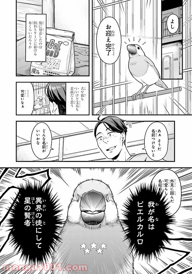 P8
