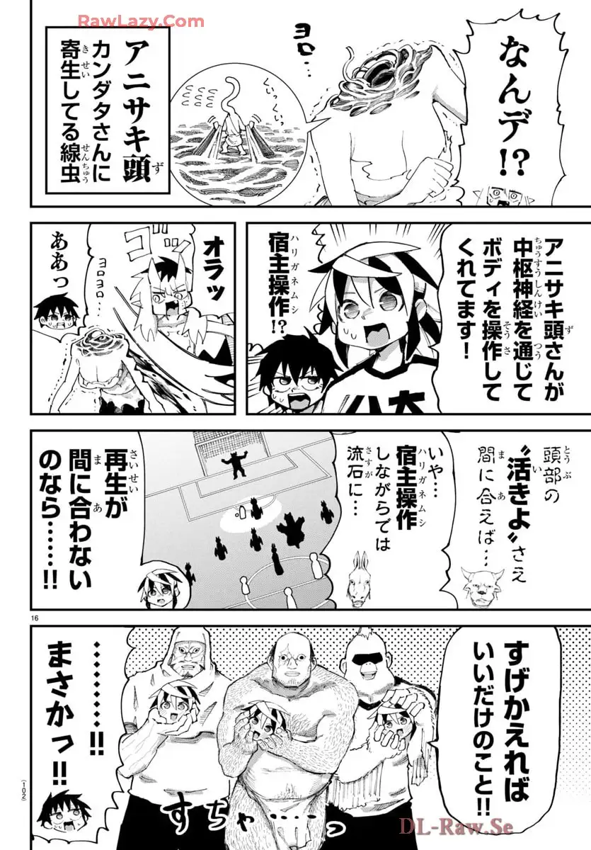 P16