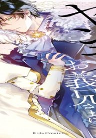 なりそこない聖女は無自覚ヤンデレお義兄さまに溺愛される (Raw – Free)