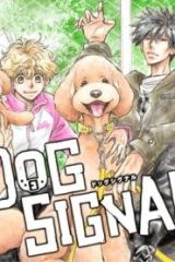 Dog Signal (Raw – Free)