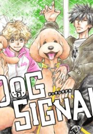 Dog Signal (Raw – Free)