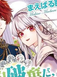 婚約破棄だ、発情聖女 (Raw – Free)