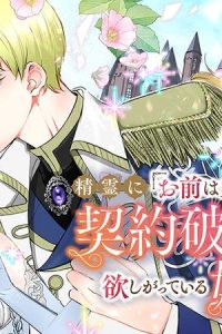 精霊に「お前は主人にふさわしくない、契約破棄してくれ！」と言われたので、欲しがっている妹に譲ります (Raw – Free)