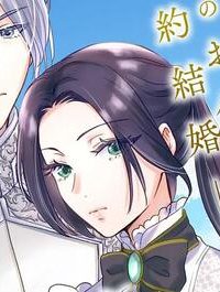 お局令嬢と朱夏の季節 〜冷徹宰相様のお飾りの妻になったはずが、溺愛されています〜 (Raw – Free)