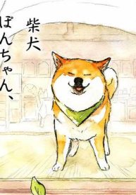 柴犬ぽんちゃん、今日もわが道を行く (Raw – Free)