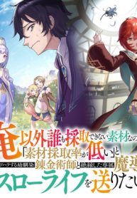 俺以外誰も採取できない素材なのに「素材採取率が低い」とパワハラする幼馴染錬金術師と絶縁した専属魔導士、辺境の町でスローライフを送りたい。 (Raw – Free)