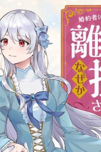 婚約者に嫌われているようなので離れてみたら、なぜか抗議されました (Raw – Free)