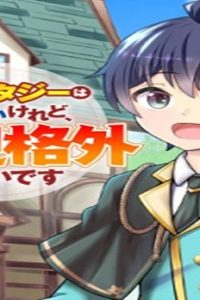 ファンタジーは知らないけれど、何やら規格外みたいです 神から貰ったお詫びギフトは、無限に進化するチートスキルでした (Raw – Free)