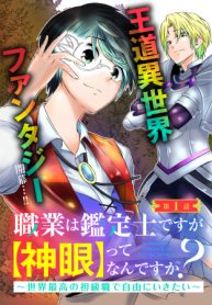 職業は鑑定士ですが【神眼】ってなんですか？　～世界最高の初級職で自由にいきたい～ (Raw – Free)
