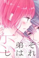 それでも弟は恋したがる (Raw – Free)