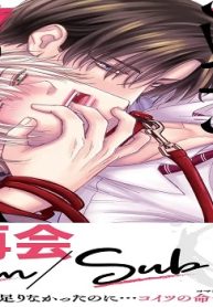 強制switch (Raw – Free)