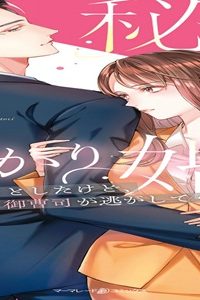 秘密の授かり婚～身を引こうとしたけど、エリート御曹司が逃がしてくれません～ (Raw – Free)